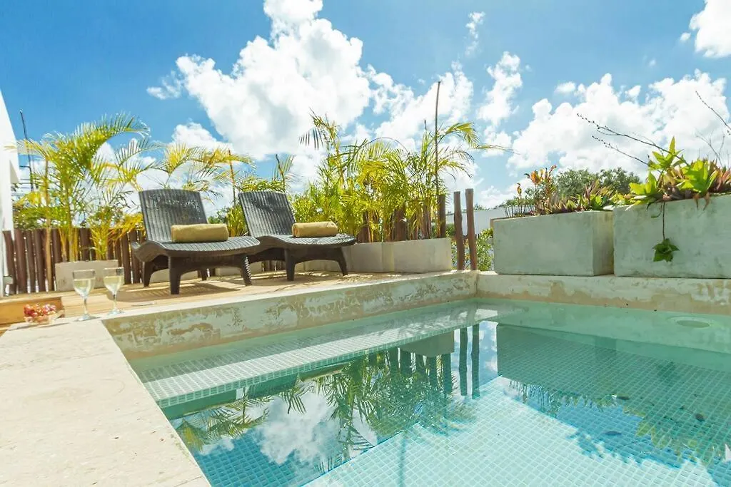 Magnificent House With Pool & Jungle View Villa Tulum Mexico